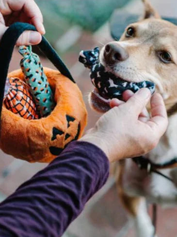 Jouet interactif en forme de citrouille d'Halloween pour chien - Pet Play, éco-responsable avec des bonbons cachés à l'intérieur.