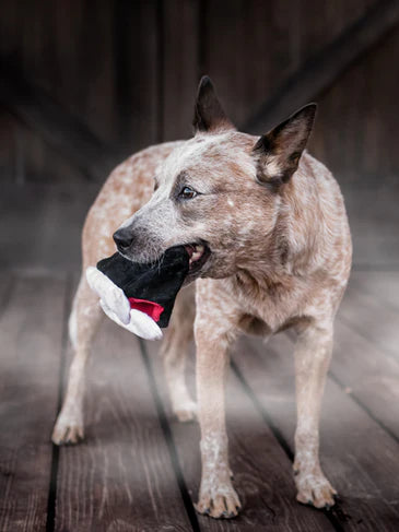 Jouet en peluche pour chien en forme de dents de vampire - Pet Play, éco-responsable avec garnissage recyclé.