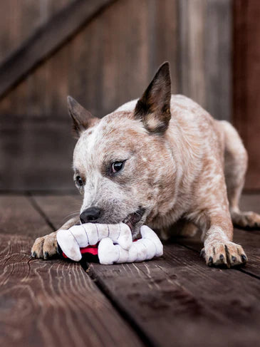 Jouet en peluche pour chien en forme de dents de vampire - Pet Play, éco-responsable avec garnissage recyclé.