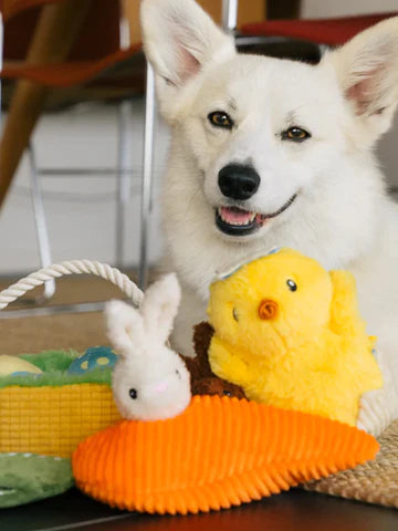 Stimulez le jeu de votre chien pour pâques avec ce jouet enchanteur.