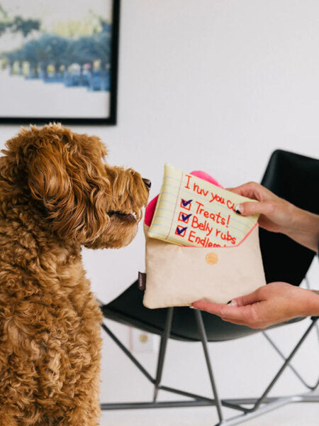 Peluche pour chien PET PLAY Love Bug Lettre d'amour interactive et écologique