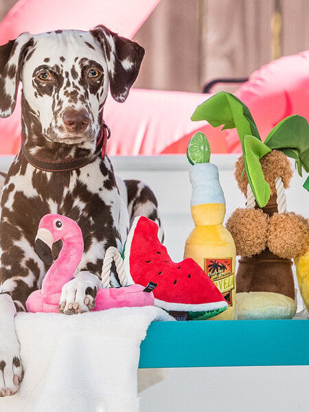 Jouet en Peluche pour Chien – Pastèque 🍉 – Collection Tropical Paradise