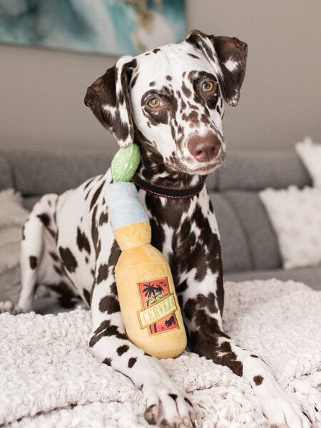 Peluche chien forme bière Cerveza Canine Pet Play Tropical Paradise
