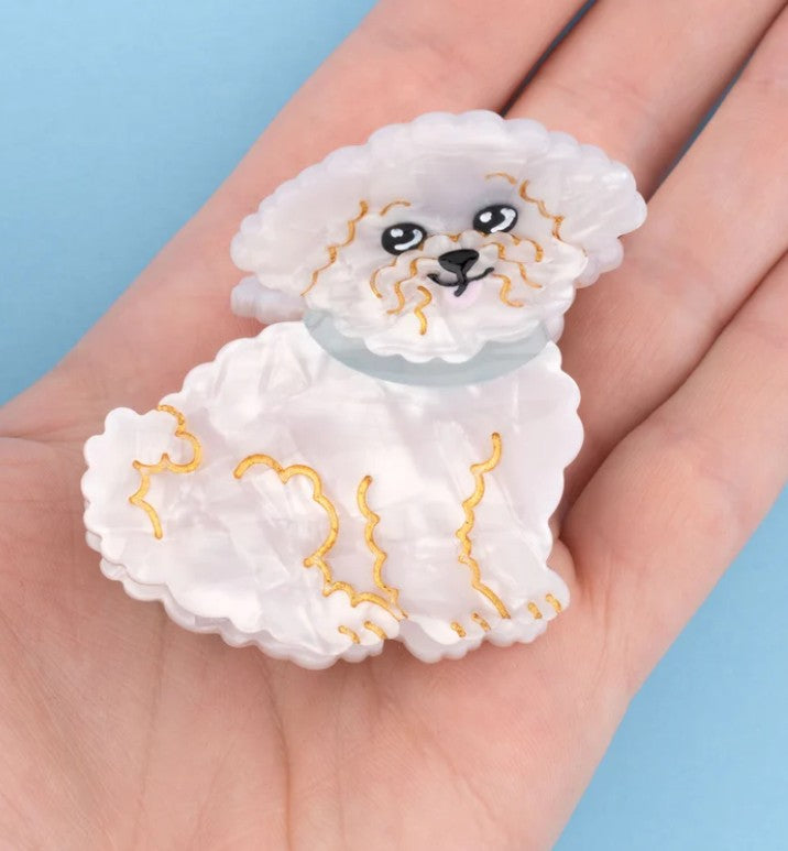 pince chien mignonne collier turquoise accessoire coiffure