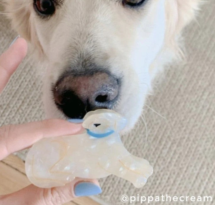 pince golden coucou suzette coiffure