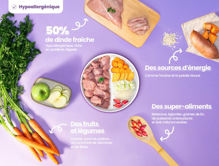 Repas sans céréales à la dinde pour chiens sensibles