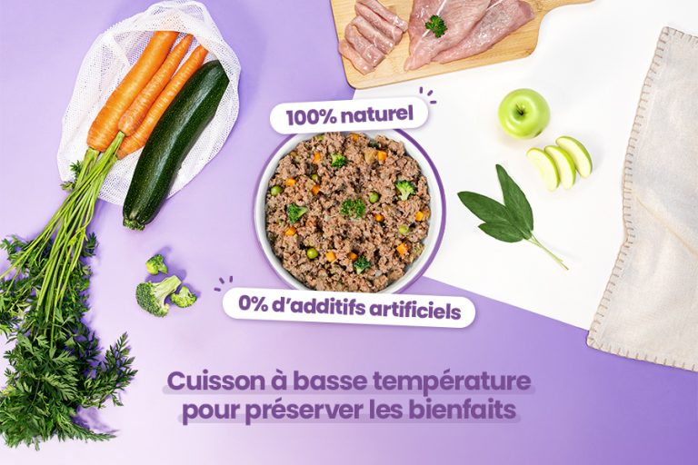 Alimentation fraîche naturelle DOG CHEF – dinde et légumes