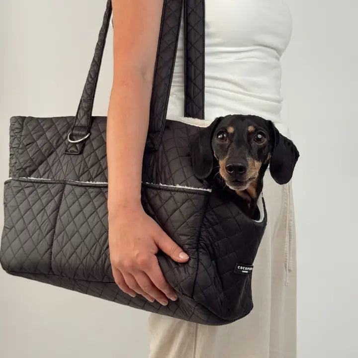 Sac de transport pour chien noir matelassé CocoPup London – CocoPup London – DOG DéliCAT