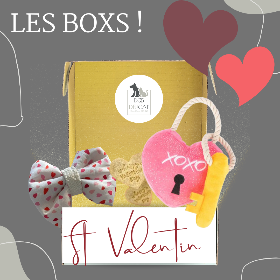 Box Saint Valentin pour Chiens - Gâteries, Accessoires et Jouet pour un amour canin inoubliable