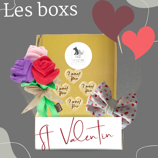 Box Saint Valentin pour Chiens - Gâteries, Accessoires et Jouet Peluche Puppy Love.
