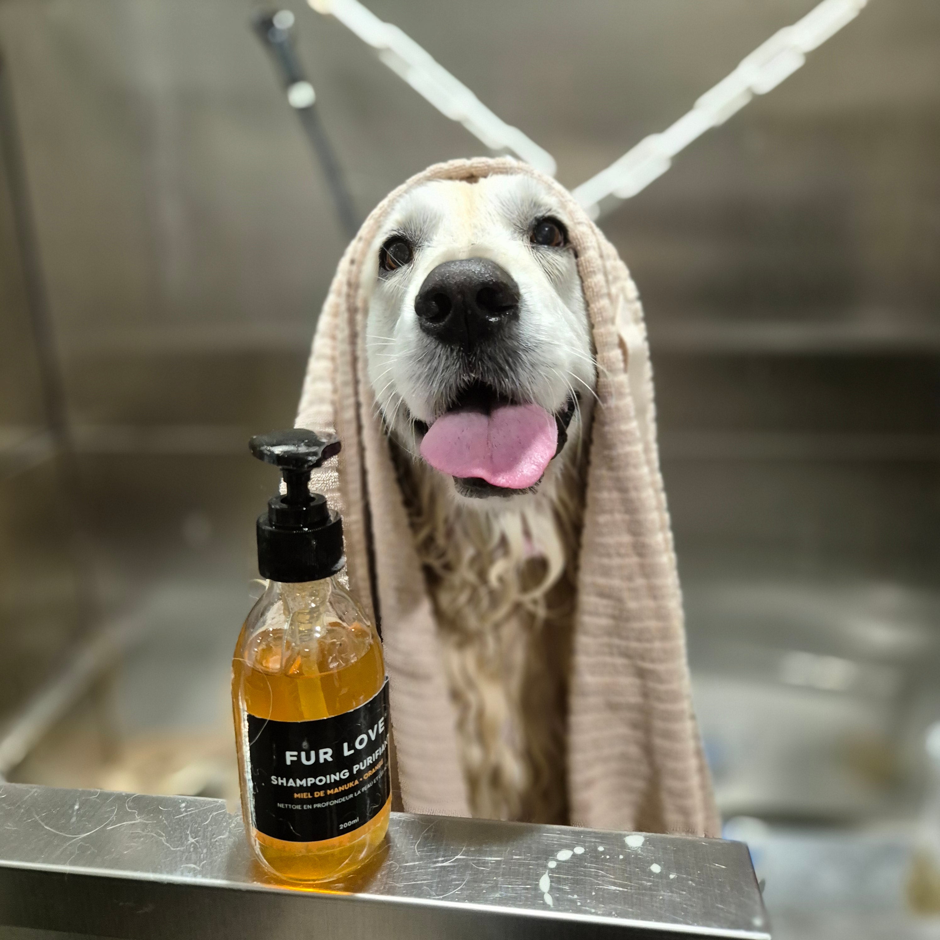 Shampoing naturel au miel de Manuka, spécialement conçu pour apaiser et hydrater les peaux sensibles des chiens.
