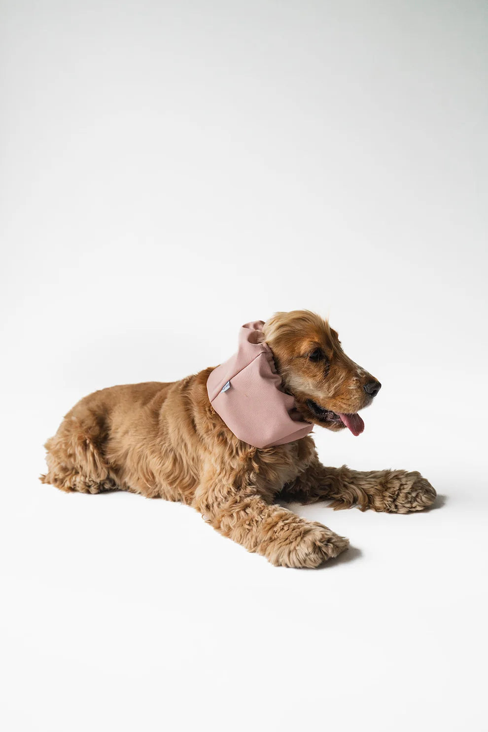 Snood chien imperméable Vieux Rose Lou & Co – Lou & Co – DOG DéliCAT