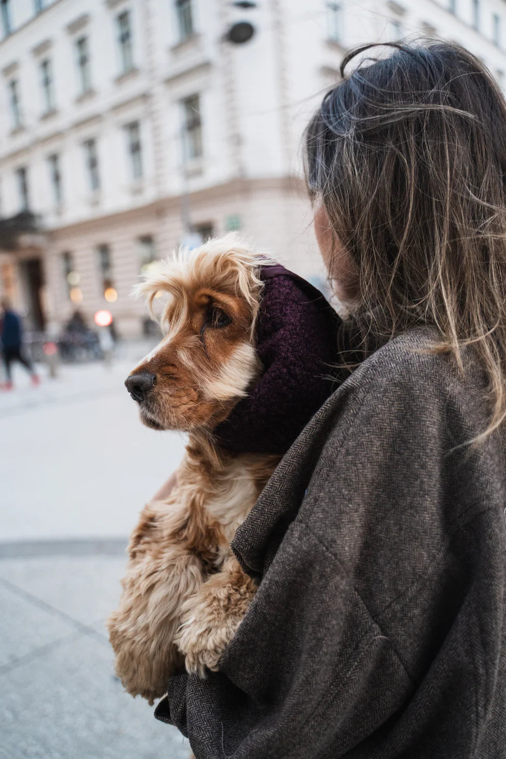 snood réversible bordeaux chien – chaud et imperméable