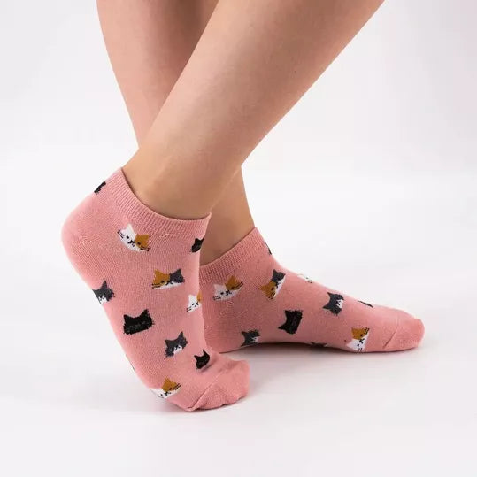 Soquettes avec dessin de chat noir et blanc sur fond bleu ciel - Collection Limitée Tites Chaussettes