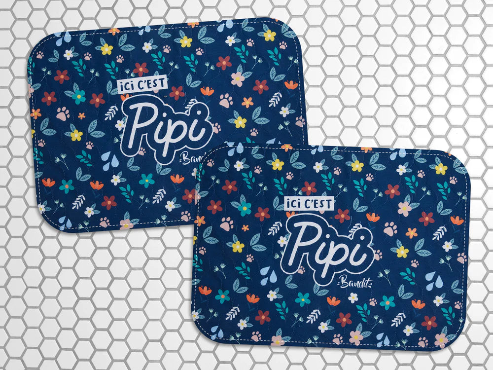 Tapis de propreté pour chien PIPI PROOF