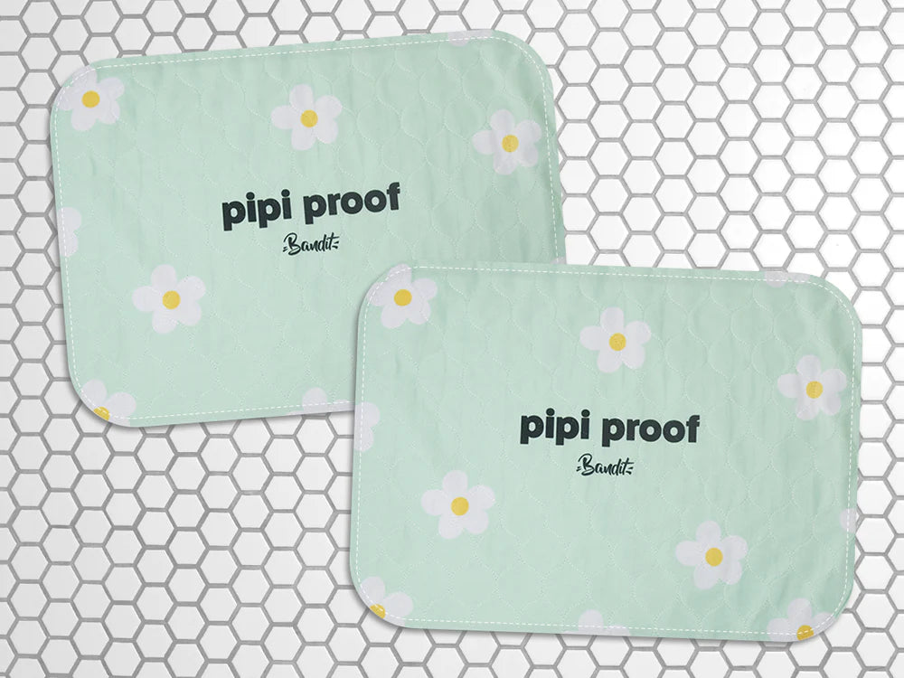Tapis de propreté pour chien PIPI PROOF