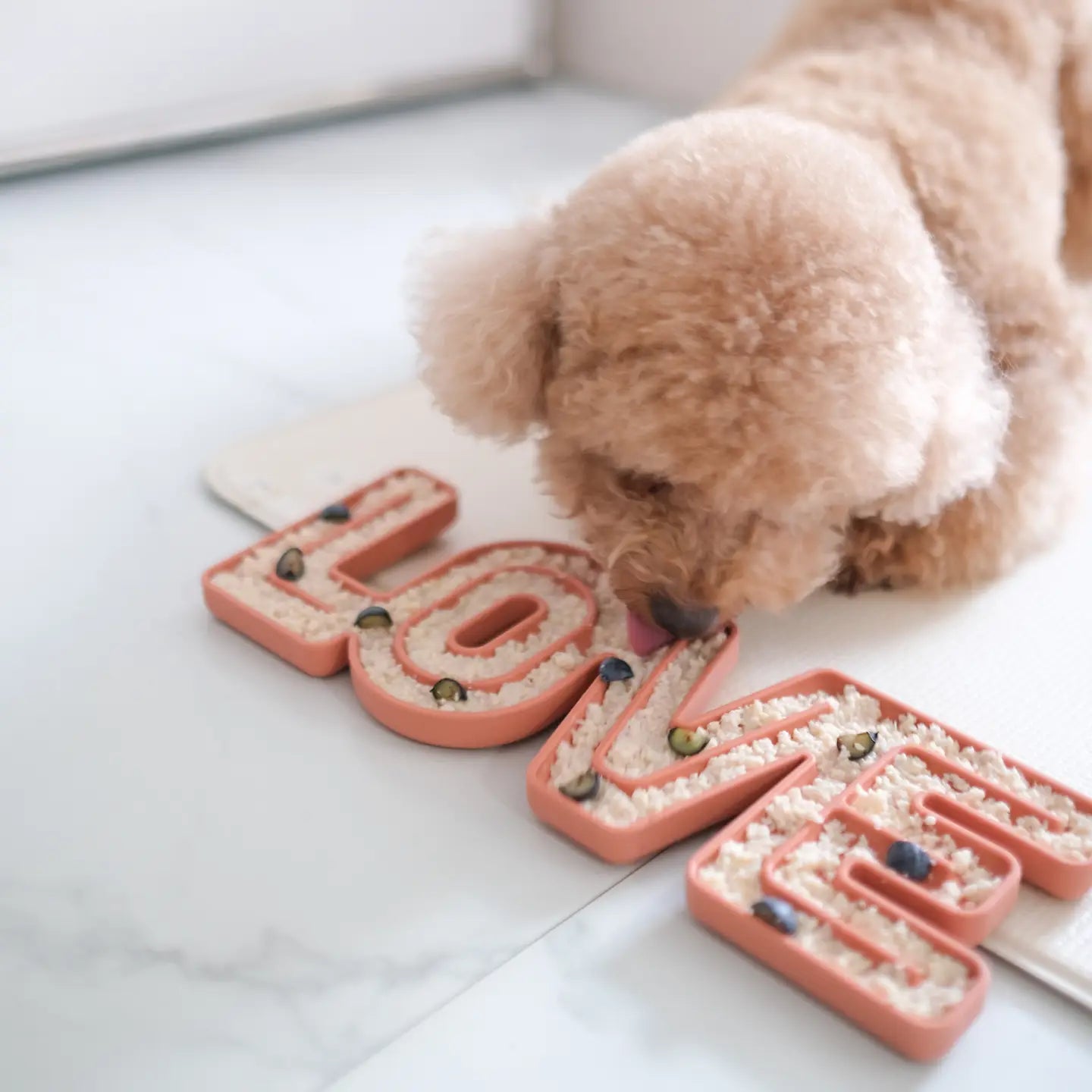 Lick mat design chien enrichissement repas