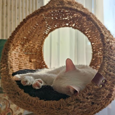Arbre à chat design avec niche Bali Martin Sellier – niche en coco et griffoir sisal – DOG DéliCAT