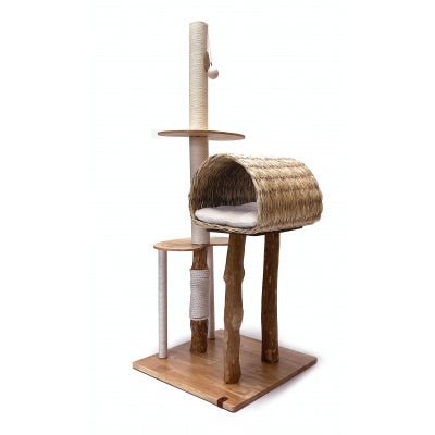 Arbre à chat naturel & design – Pure Triple, bois de caféier et papyrus - MARTIN - DOG DéliCAT