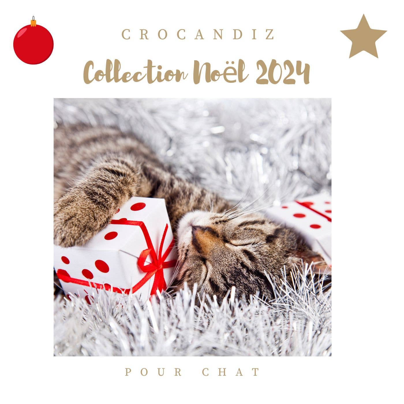 Calendrier de l’Avent pour Chats Crocandiz – 60 g de friandises naturelles !