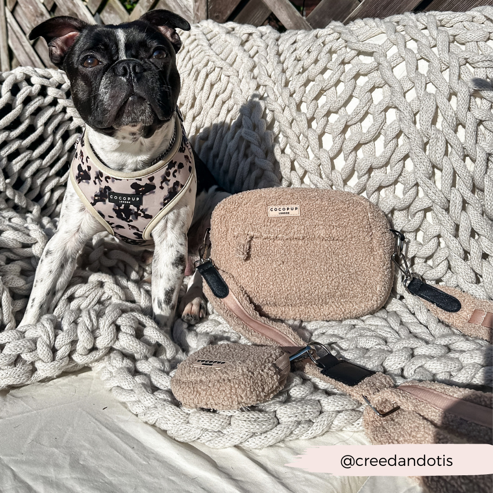 Sac de promenade pour chien - Teddy Rupert