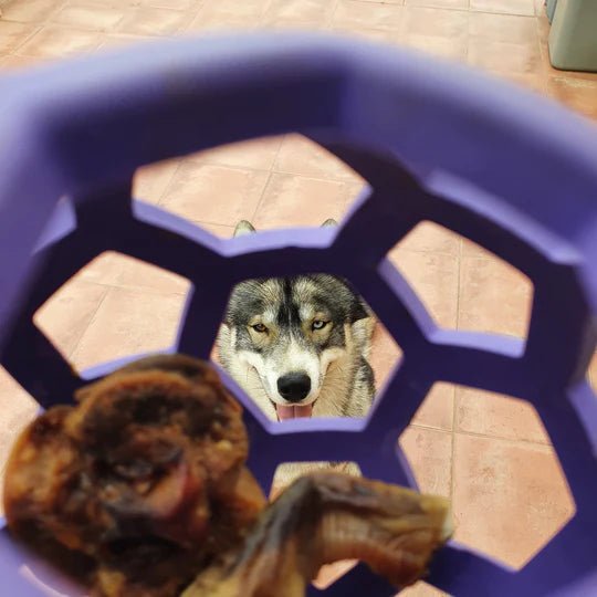 Balle en caoutchouc extensible - JW - DOG DéliCAT