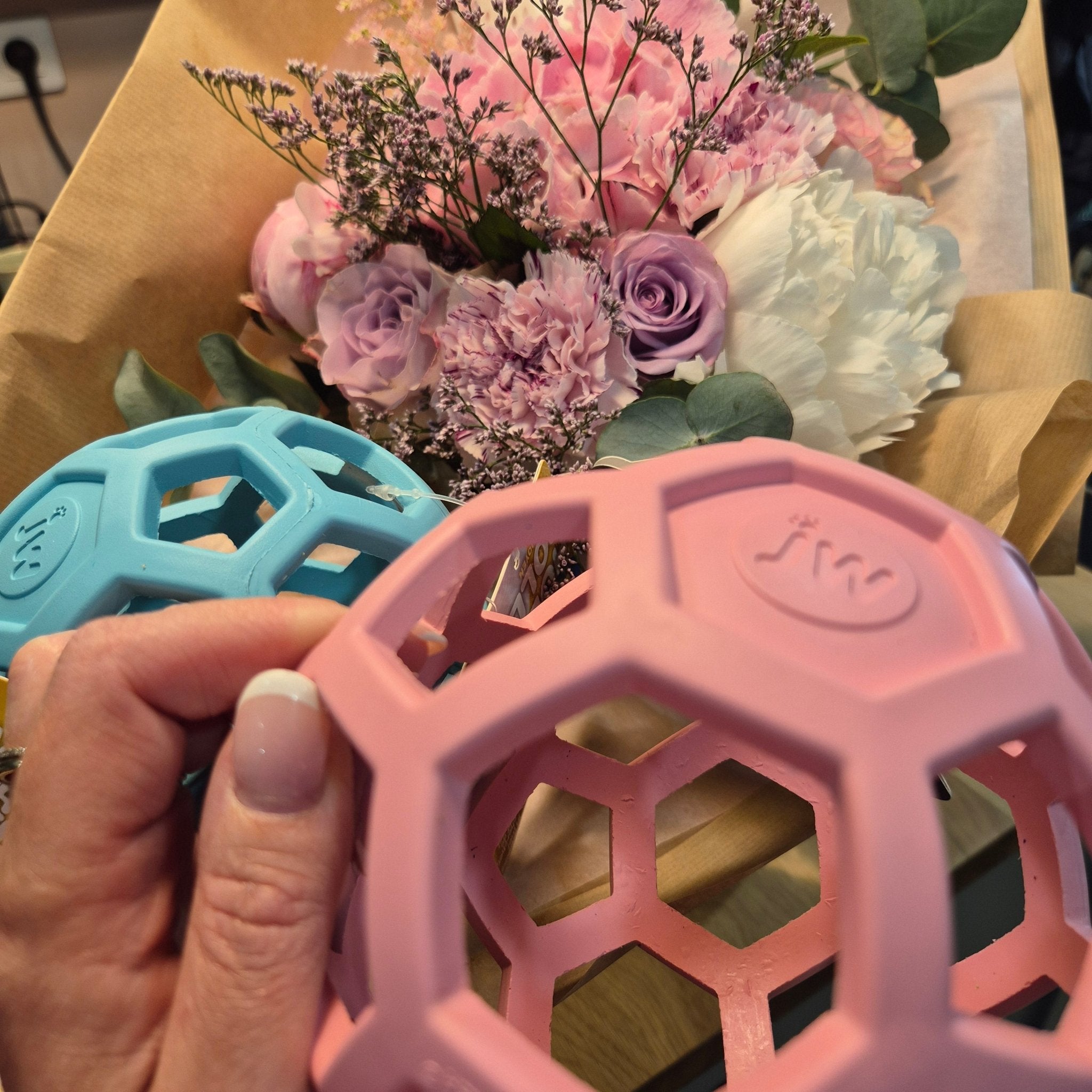 Balle en Caoutchouc Extensible pour Chien – Hol - ee Roller - JW - DOG DéliCAT