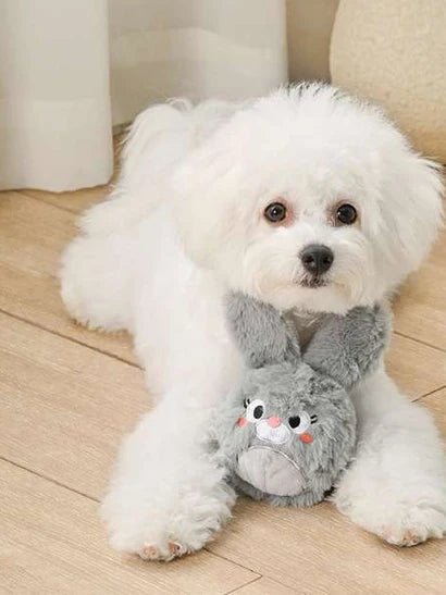balle en peluche pour chien lapin 🐇 HugSmart - DOG DéliCAT