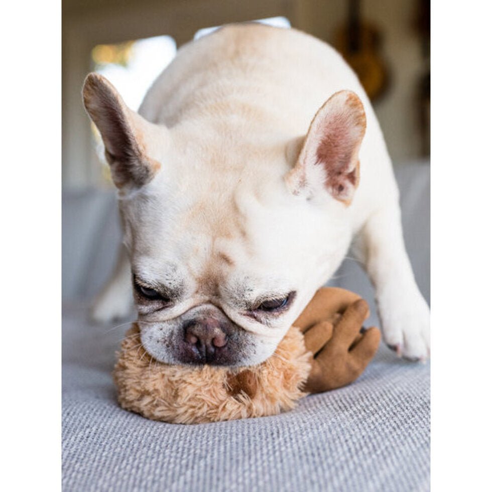 Balle en Peluche Pour Chien – Renne de Noël 🎀 Willow’s Mythical Jackalope - PET PLAY - DOG DéliCAT
