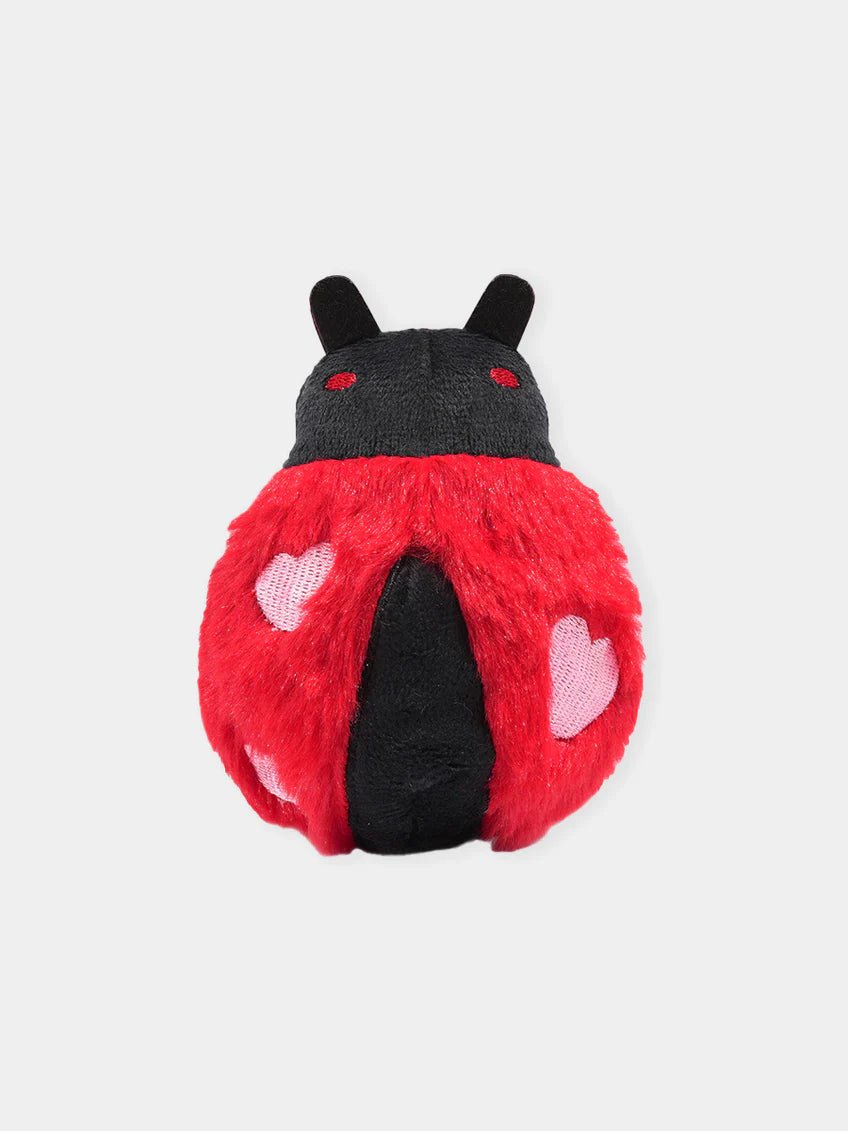 Balle peluche Coccinelle Woof Love 🐞 – L’amour en version jeu - HUG SMART - DOG DéliCAT