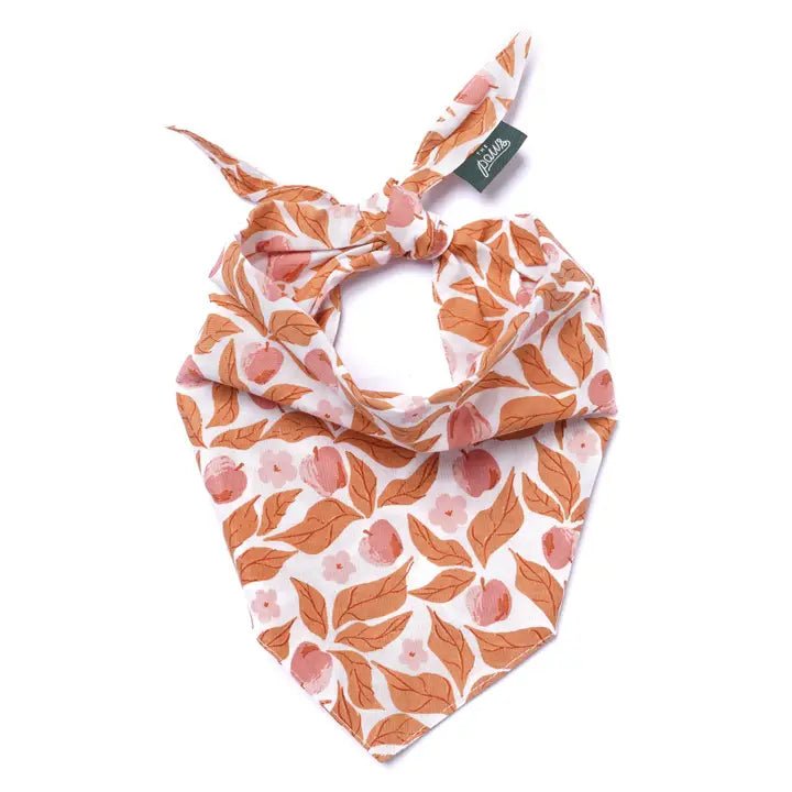 Bandana Automnal Pour Chien – Élégance De Saison - The Paws - DOG DéliCAT