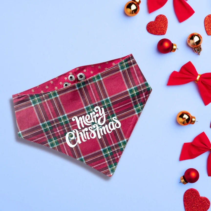 Bandana de Noël pour chien Merry Christmas - ARIZONA HOT DOGS - DOG DéliCAT