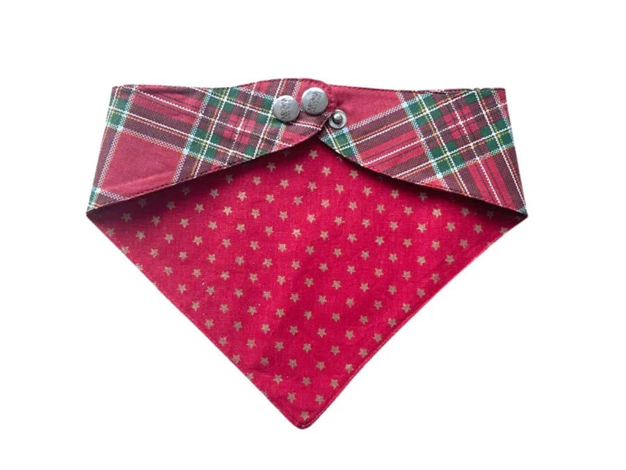 Bandana de Noël pour chien Merry Christmas - ARIZONA HOT DOGS - DOG DéliCAT