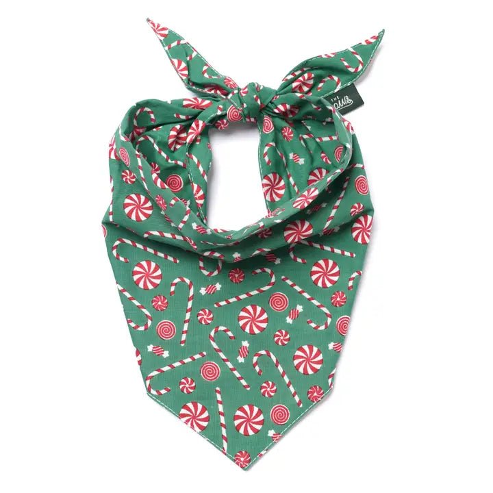 Bandana De Noël Pour Chien – Sucre D’Orge - The Paws - DOG DéliCAT