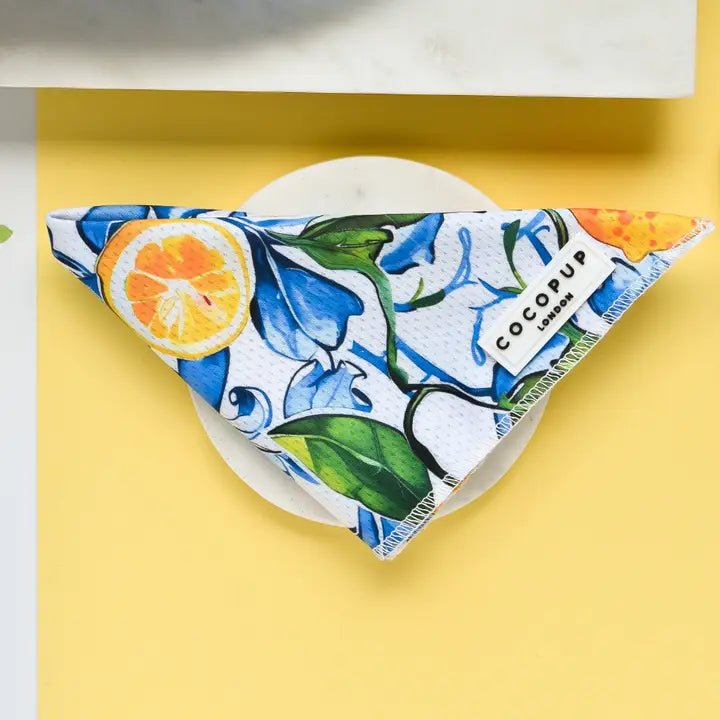 Bandana pour chien Amalfi Lemon CocoPup London – CocoPup London – DOG DéliCAT  