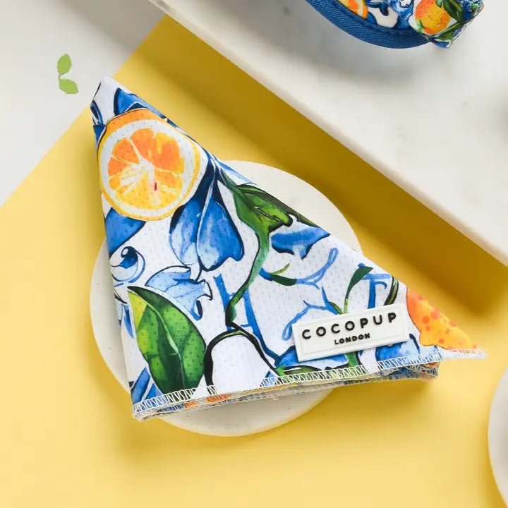 Bandana pour chien Amalfi Lemon CocoPup London – CocoPup London – DOG DéliCAT  
