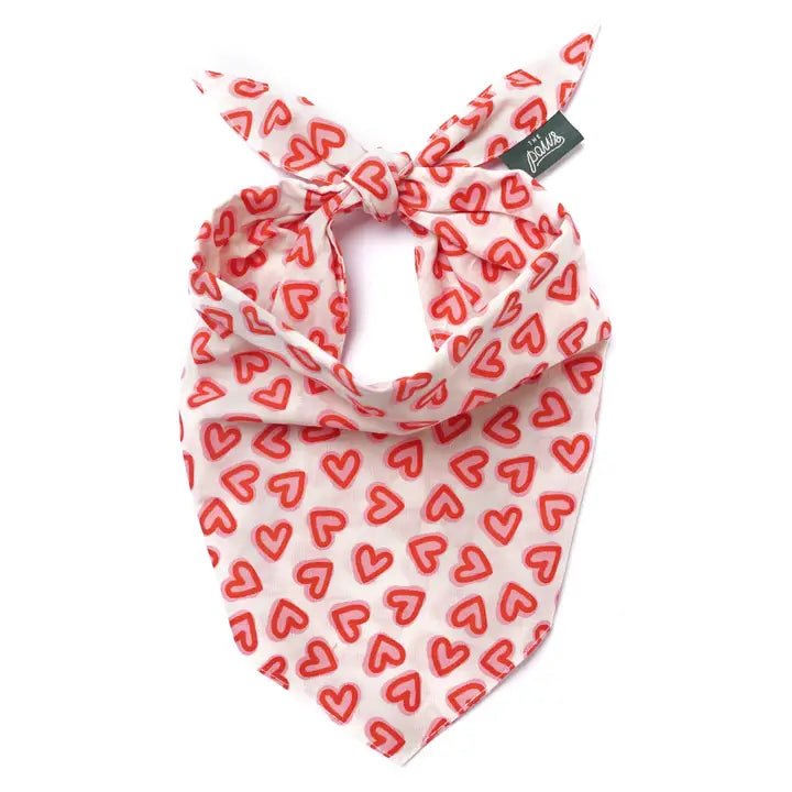 Bandana Pour Chien Amoureux – Cœurs Rouges En Coton - The Paws - DOG DéliCAT