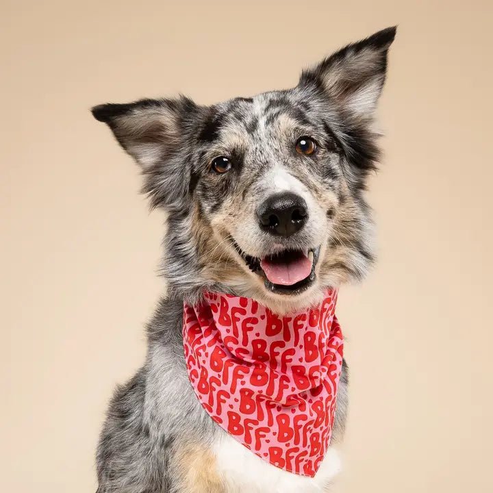 Bandana Pour Chien BFF – Best Friend Forever - The Paws - DOG DéliCAT