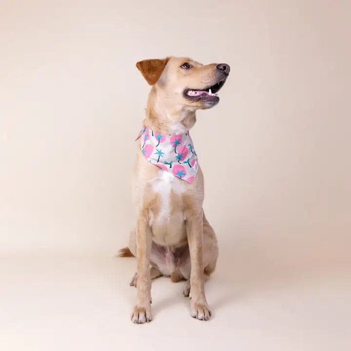 Bandana pour chien en coton – Motif Soleil & Palmier - The Paws - DOG DéliCAT