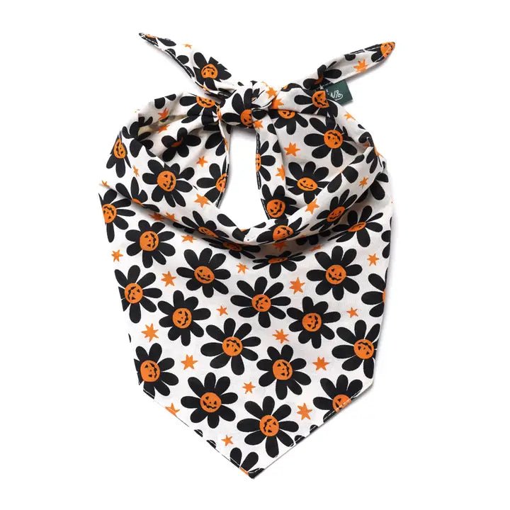 Bandana pour chien Halloween Pétales de citrouille 🎃 - The Paws - DOG DéliCAT