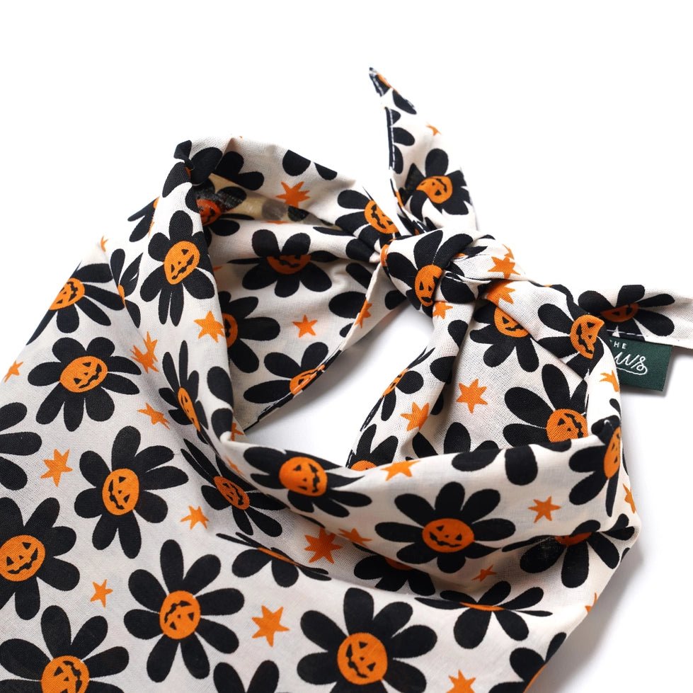 Bandana pour chien Halloween Pétales de citrouille 🎃 - The Paws - DOG DéliCAT