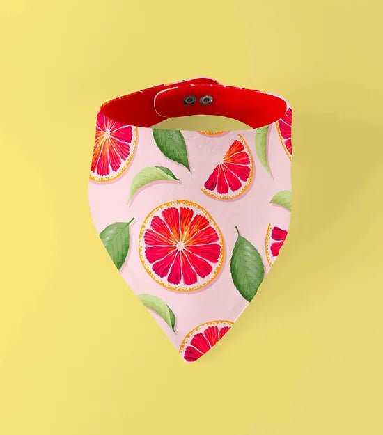 Bandana pour chien réversible Acidulé - ARIZONA HOT DOGS - DOG DéliCAT