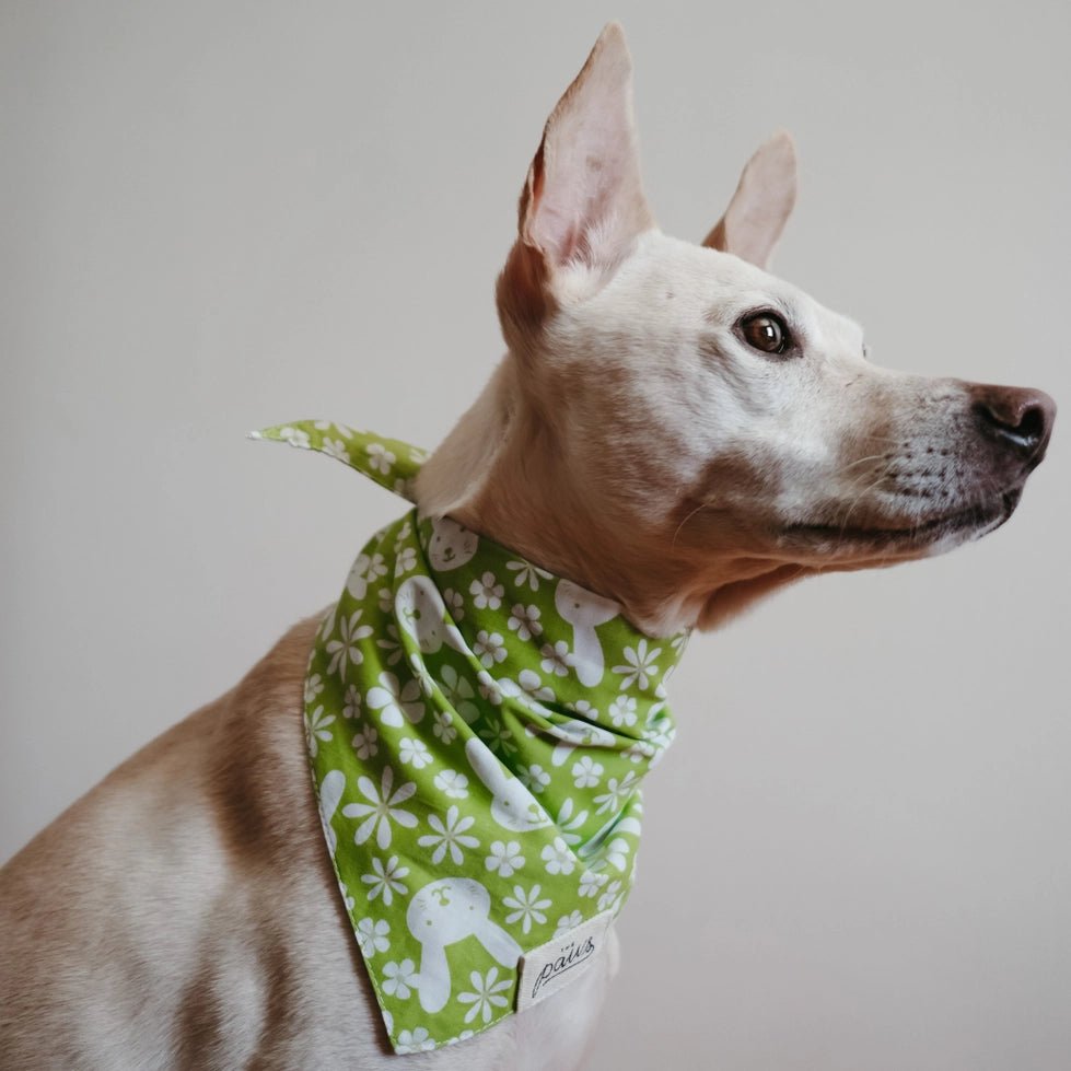 Bandana pour chien Skippy en coton – Motif Lapins et Fleurs 🐇🌷 - The Paws - DOG DéliCAT