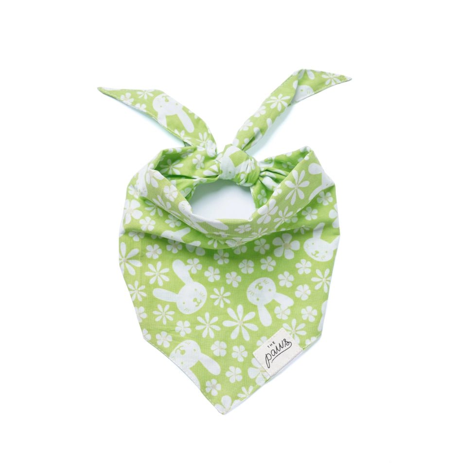 Bandana pour chien Skippy en coton – Motif Lapins et Fleurs 🐇🌷 - The Paws - DOG DéliCAT