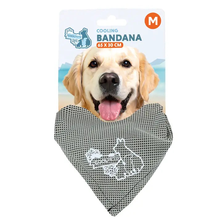 Bandana rafraîchissant pour chien Coolpets — Beige