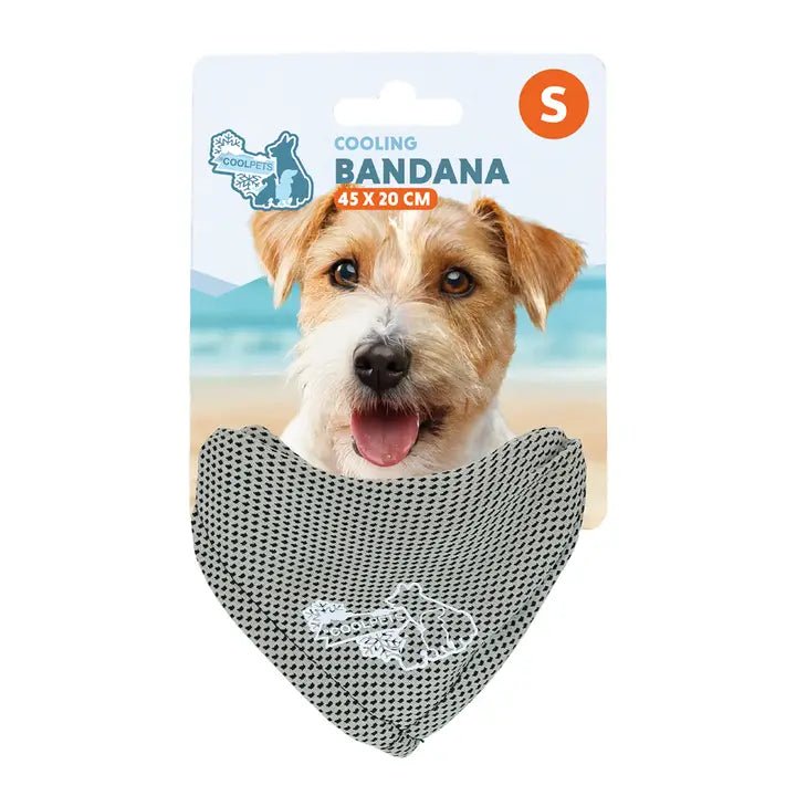 Bandana rafraîchissant pour chien Coolpets — Beige - Hofman - DOG DéliCAT