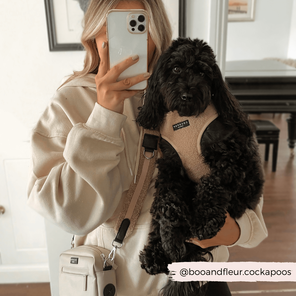 Bandoulière de sac Teddy Rupert – douce, chic & ajustable - COCOPUP LONDON - DOG DéliCAT