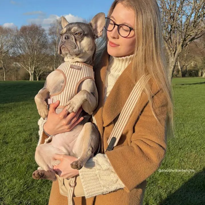 Bandoulière pour sac réglable London Linen CocoPup London – CocoPup London – DOG DéliCAT