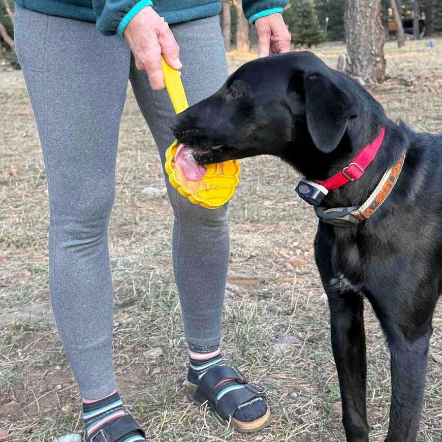 Bâton à lécher pour chien eStick – SodaPup – DOG DéliCAT