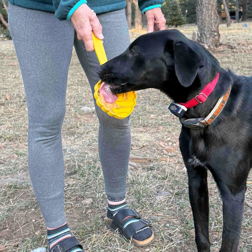 Bâton à lécher pour chien eStick – SodaPup – DOG DéliCAT